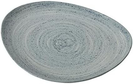 Mikasa 5229310 Whistler Oval Platter, Blue by Mikasa