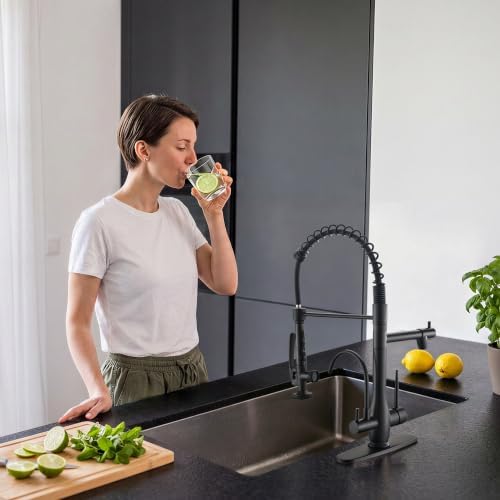 GIMILI Black 3 in 1 Commercial Kitchen Faucet with Water Filter System - Image 6