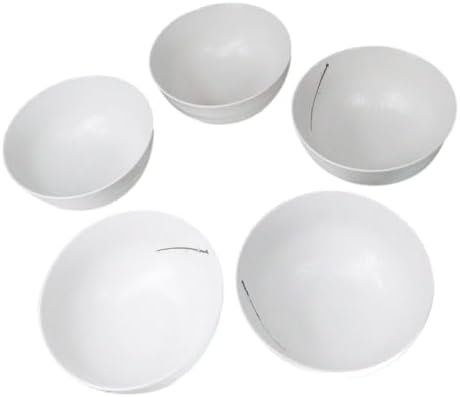 Ebros Gift Modern Yukino Hana Snow Flowers Ceramic Dinnerware Serveware Kitchenware Set Oriental Asian Restaurant Supply (Pack Of 5 Medium Soup Salad Rice Bowls 24oz) - Image 4