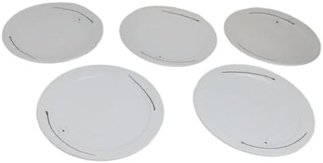 Ebros Gift Modern Yukino Hana Snow Flowers Ceramic Dinnerware Serveware Kitchenware Set Oriental Asian Restaurant Supply (Pack Of 5 Large Round Dinner Plates 10"D) - Image 4