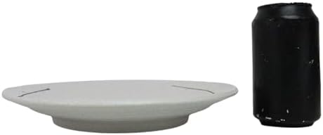 Ebros Gift Modern Yukino Hana Snow Flowers Ceramic Dinnerware Serveware Kitchenware Set Oriental Asian Restaurant Supply (Pack Of 5 Large Round Dinner Plates 10"D) - Image 6