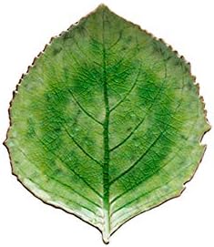 Costa Nova Ceramic Stoneware 9" Hydrangea Leaf - Riviera Collection, Tomate (Green) | Microwave & Dishwasher Safe Dinnerware | Food Safe Glazing | Restaurant Quality Serveware by CostaNova