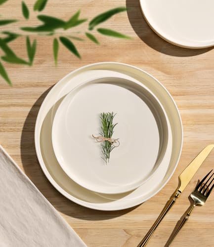 TheTerra Ceramic Dinnerware Set for 4, 12-Piece Plates and Bowls Set - Image 2