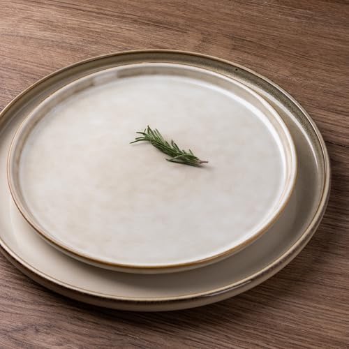 GBHOME Dinnerware Sets for 4, 12 Pieces Ceramic Plates and Bowls Set - Image 2