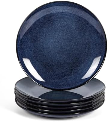 vicrays Ceramic Round Plates Set of 6 - Porcelain 10 inch Dinner Plates for Salad Dessert Appetizer Bread - Microwave Oven and Dishwasher Safe - Blue by VicraysCeramic