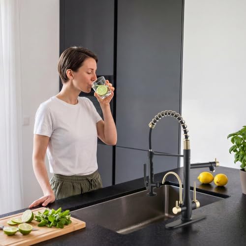 GIMILI 3 in 1 Black and Gold Kitchen Faucet with Water Filter System - Image 6