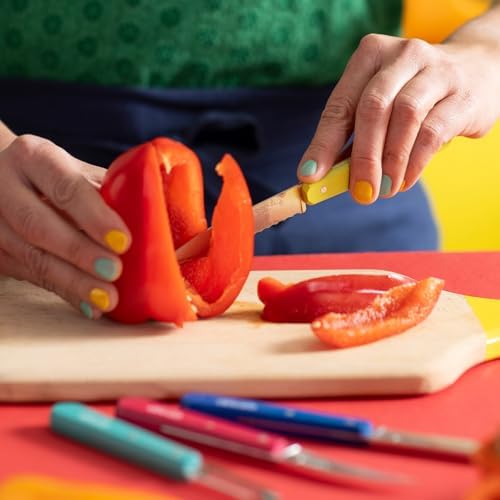 OPINEL Les Essentials 4 Piece Kitchen Prep Knife Set, Wood Handles (Pop 80) - Image 7