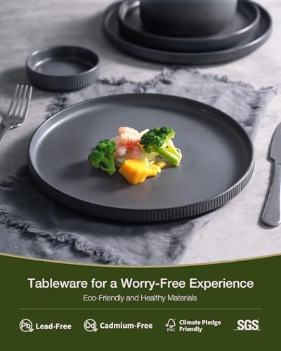 Famiware Star Stoneware Dinnerware Set, Reactive Glaze Plates & Bowls for 4 - Image 4