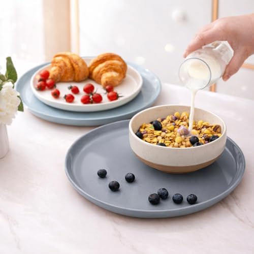 AmorArc Dinnerware Sets for 8, 24 Pieces Ceramic Plates and Bowls Set - Image 6