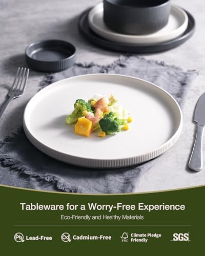 Famiware Star Stoneware Dinnerware Set, Reactive Glaze Plates & Bowls for 4 - Image 4