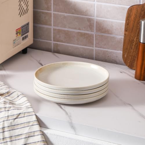 Ceramic dinner plates set of 4, Large Dinnerware Plates & Salad plates for party and wedding, Microwave safe porcelain plates set, 10 Inch - Image 6