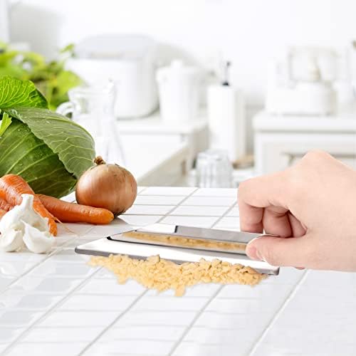 Table Crumb Sweeper, Crumb Sweeper for Tablecloth, Crumb Scraper Cumb Catcher on Table, Server Tools Stainless Steel Crumbers for Servers, Waiters and Waitresses (1 PACK, Pure Silver) by HKDGYHON