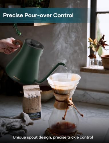 INTASTING Gooseneck Electric Kettle with ±1℉ Temperature Control, 0.9L - Image 2