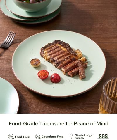 Famiware Venus Plates and Bowls Sets with Rim, Stoneware Dinnerware for 8 - Image 4