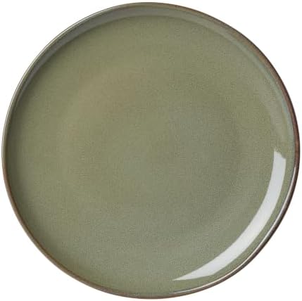 Oneida 899052 Organic Shades Sage Green Accent Plate - Image 3