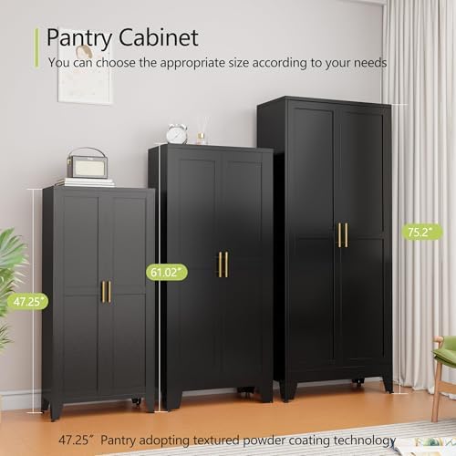 GAIOUS Metal Storage Cabinet, Black Pantry Storage Cabinets with 2 Door - Image 4