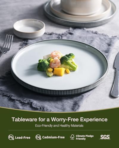 Famiware Star Stoneware Dinnerware Sets for 8, Reactive Glaze Plates, Bowls - Image 4