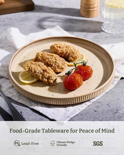 famiware Star 10/8 inches Salad Plates Set for 6, Latte - Image 5