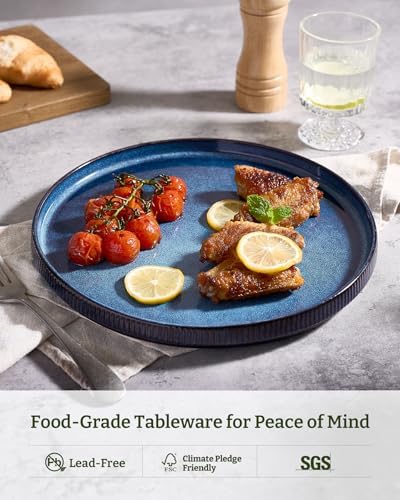 famiware Star Dinner Plates for 6, 10 inches Plate Set, Scratch Resistant, Stoneware Dinnerware, Kitchen Modern Rustic Serving Dishes, Nebulas Blue (Pack of 2) - Image 5