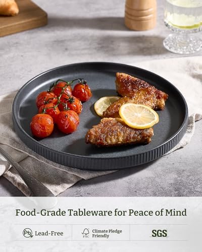 famiware Star 10/8 inches Dinner Plates Set for 6, Matte Dark Charcoal - Image 5