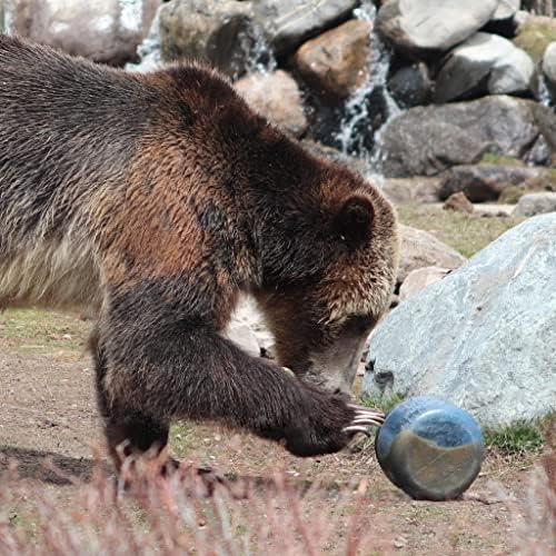 BearVault Canister for Backpacking. 4 Sizes: BV500, BV475, BV450, BV425. Bear-Resistant Food Container for Camping, Hiking, Fishing, Hunting, Bikepacking. BearVault is Bear Safe! - Image 4