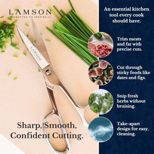 Lamson Kitchen Shears, 8 In Forged Take Apart Poultry Scissors - Image 3
