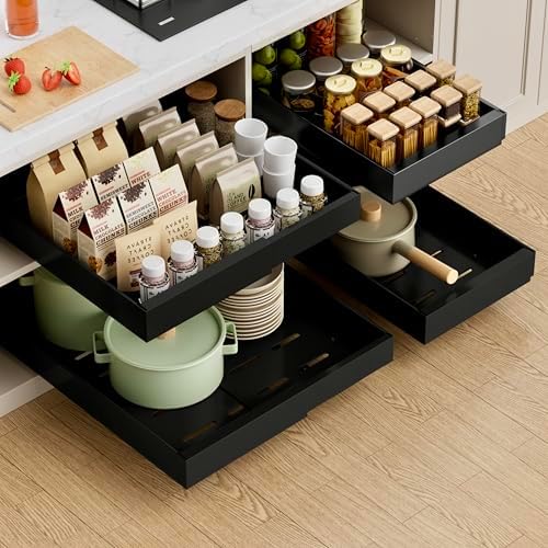 PAKETA 4 Pack Expandable Pull Out Cabinet Organizer,21" Deep by Unknown