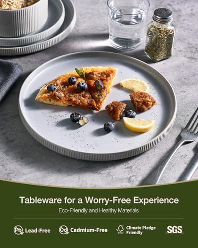 Famiware Star Stoneware Dinnerware Sets for 8, Reactive Glaze Plates, Bowls - Image 4