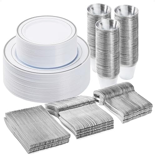 BESTVIP 300PCS Plastic Dinnerware Set, Silver Disposable Plates by Bestvip