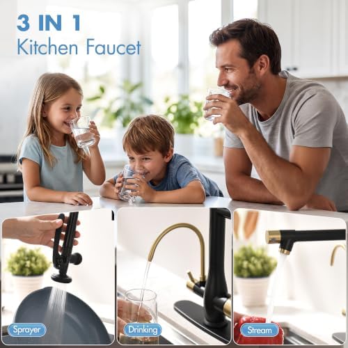 GIMILI 3 in 1 Black and Gold Kitchen Faucet with Water Filter System - Image 4