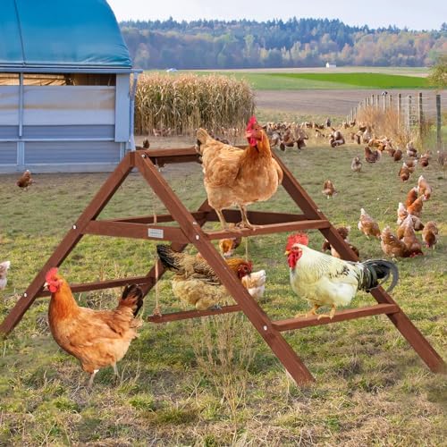 PETSFIT Roosting Bars for Coop Accessories, Chicken Perches with Swing are Perfect for 10-12 Chickens,Wooden Chicken Ladder for Pet's Healthy & Happy,Easy to Assemble&Clean - Image 6