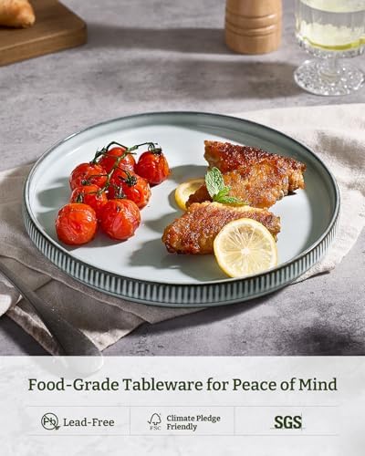 famiware Star Salad Plates for 6, 8 inches Plate Set, Stoneware Dinnerware, Small Dinner Plates for Dessert, Salad, Appetizer, Smoky Blue (Pack of 2) - Image 5