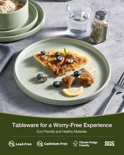 Famiware Star Stoneware Dinnerware Sets for 8, Reactive Glaze Plates, Bowls - Image 4