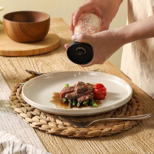 Ceramic dinner plates set of 4, Large Dinnerware Plates & Salad plates for party and wedding, Microwave safe porcelain plates set, 10 Inch - Image 7