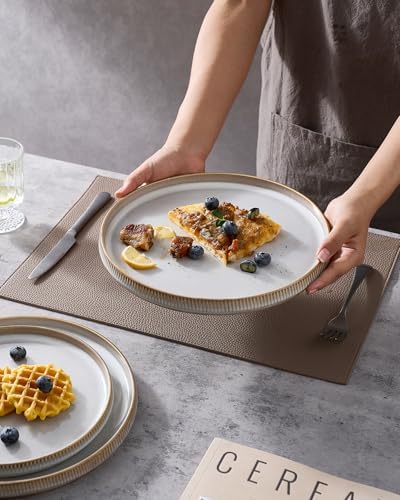 famiware Star Dinner Plates for 6, 10 inches Plate Set, Scratch Resistant, Stoneware Dinnerware, Kitchen Modern Rustic Serving Dishes, Cappuccino White (Pack of 2) - Image 2