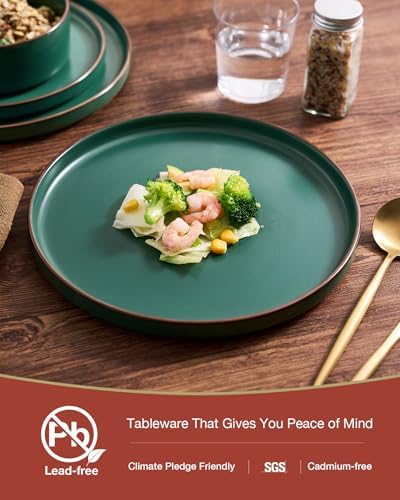 Famiware Nebula Ridge 12-Piece Stoneware Dinnerware Set, Dark Green - Image 5