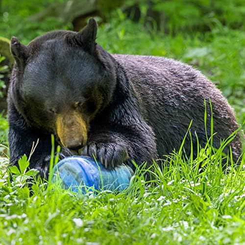 BearVault Canister for Backpacking. 4 Sizes: BV500, BV475, BV450, BV425. Bear-Resistant Food Container for Camping, Hiking, Fishing, Hunting, Bikepacking. BearVault is Bear Safe! - Image 5